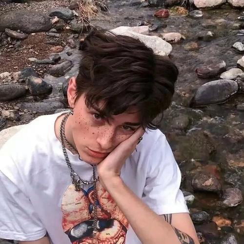 फ़ेलिशिया